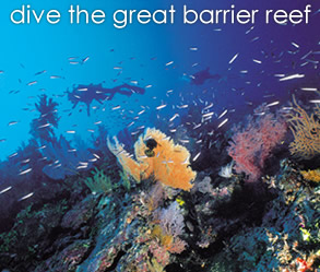 Dive the Great Barrier Reef